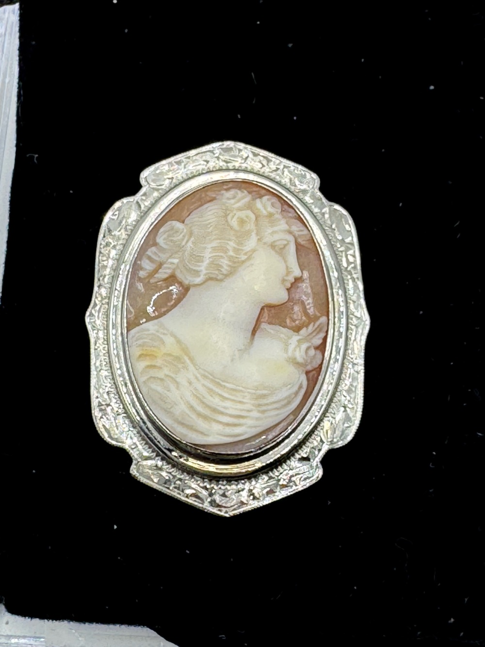 Vintage 14K White Gold & Real Shell Cameo Pin Brooch - Picture 13 of 13